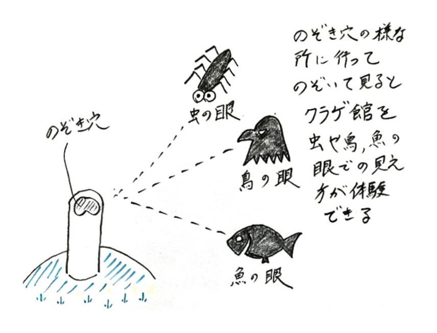 クラゲ館賞 虫の眼、鳥の眼、魚の眼の写真