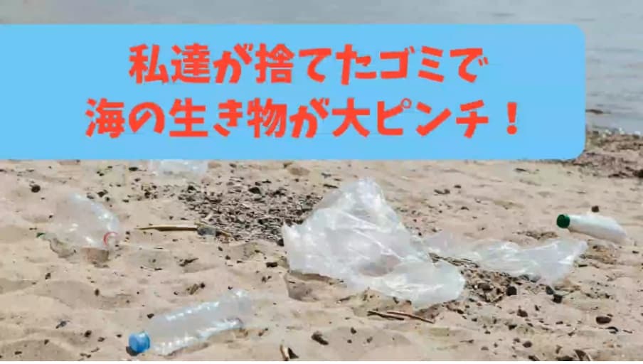 海底お掃除ロボット ダイオウグソクリン