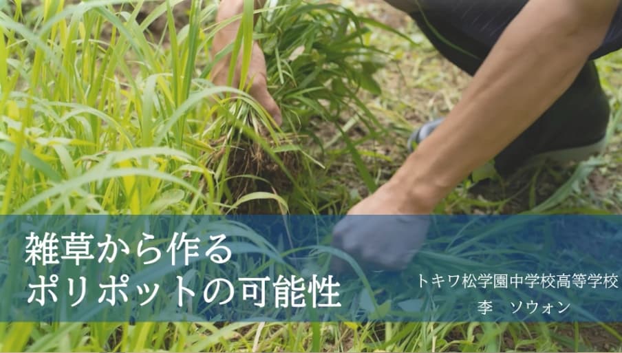 雑草から作るポリポットの可能性