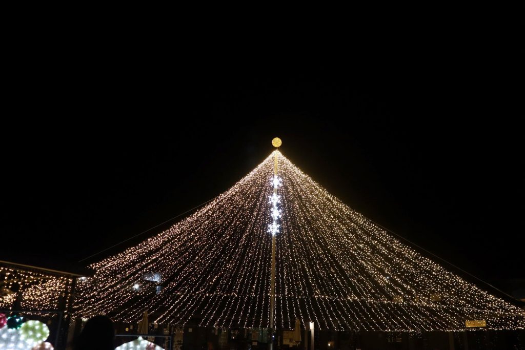 STEAM×健康×中之条かるた