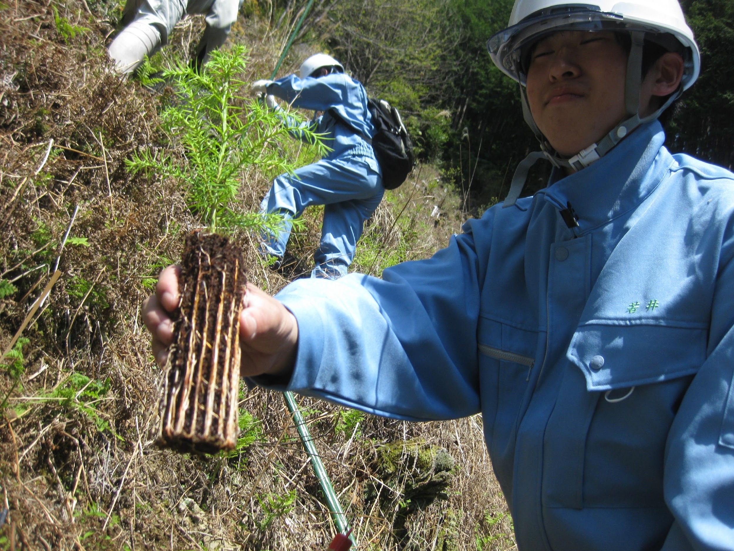 Vermin damage prevention robot, the warrior of fraternity, Inoshika Achoo.