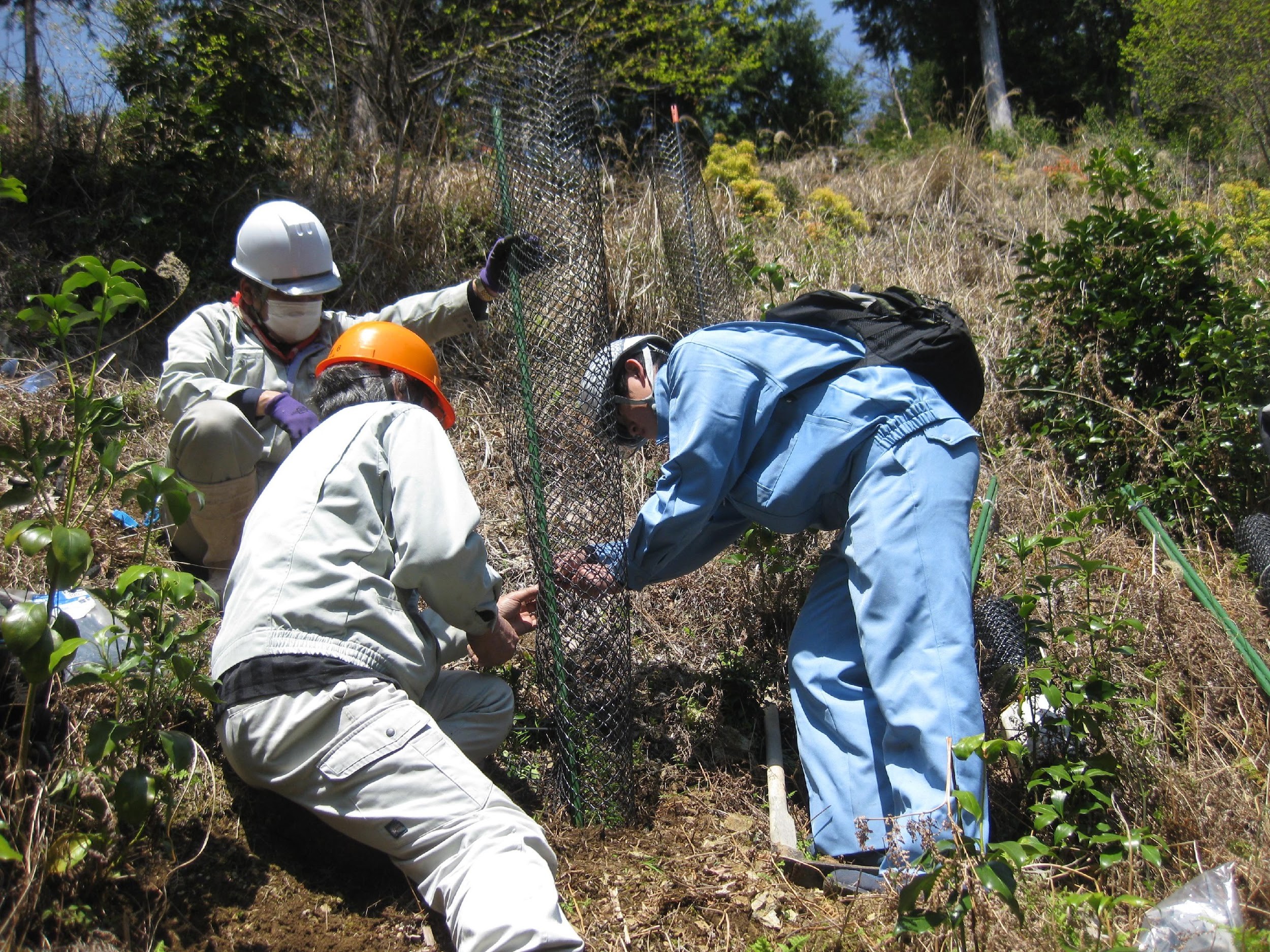 Vermin damage prevention robot, the warrior of fraternity, Inoshika Achoo.