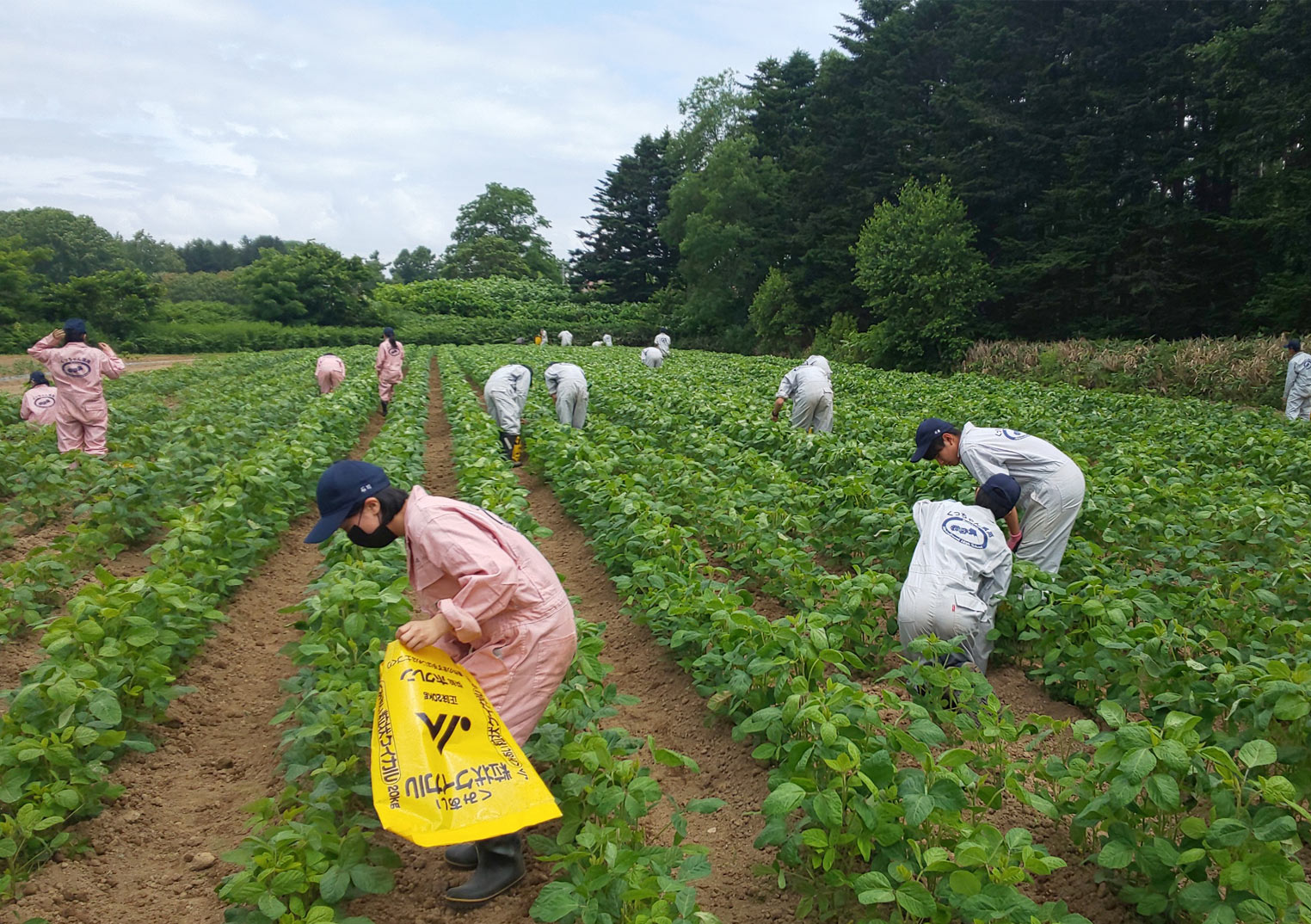 ロボットが農業を楽しくする！